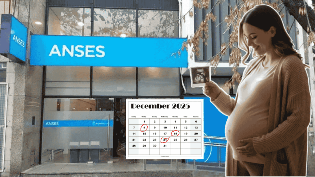 Asignación por Embarazo diciembre 2025
